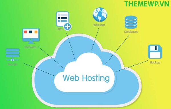 Hosting là gì