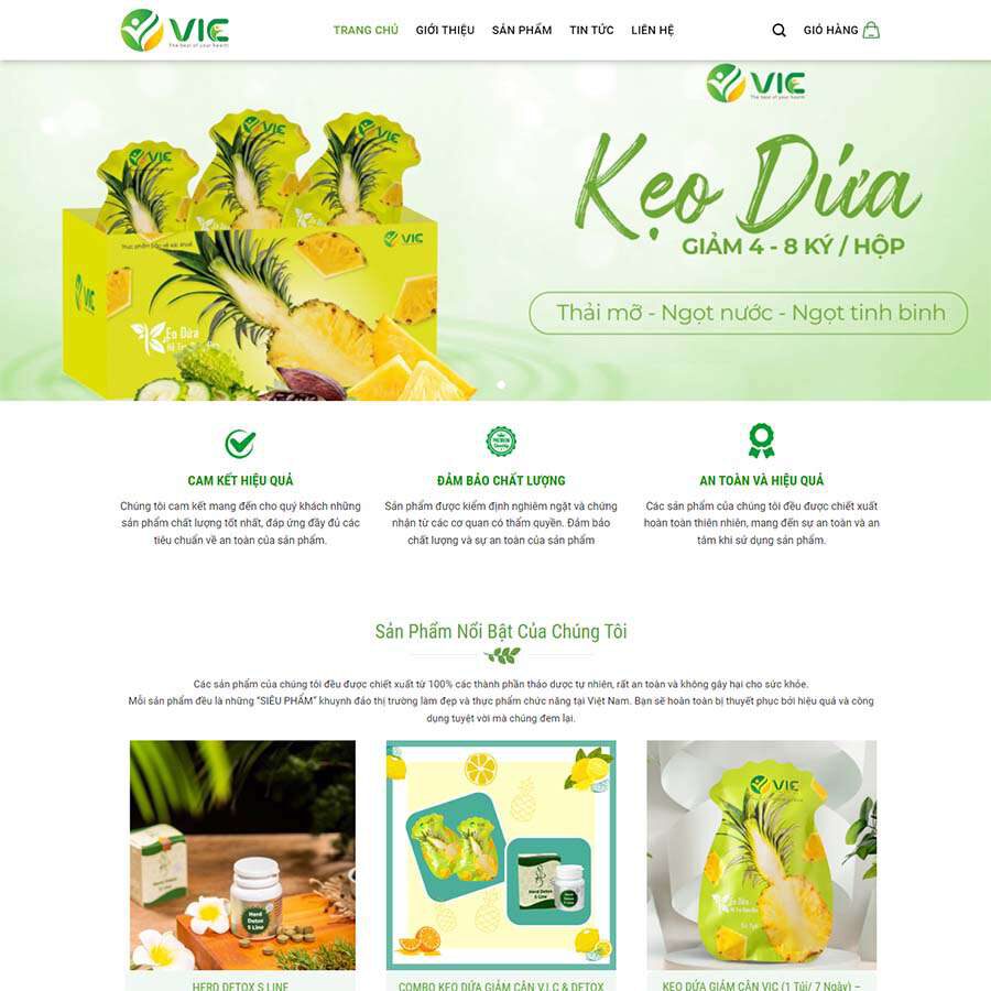 Theme WordPress thực phẩm chức năng 17